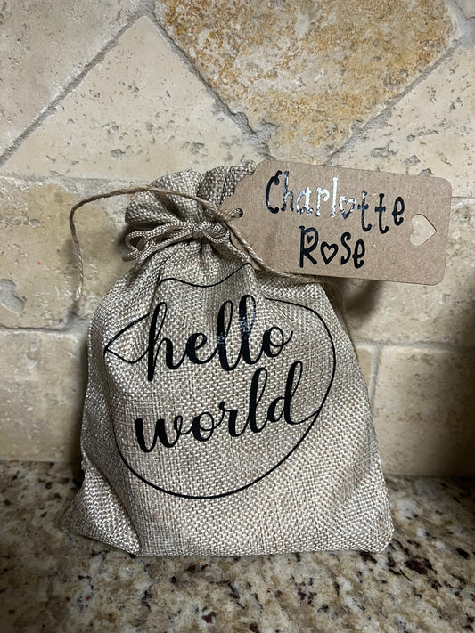 Baby Month Markers