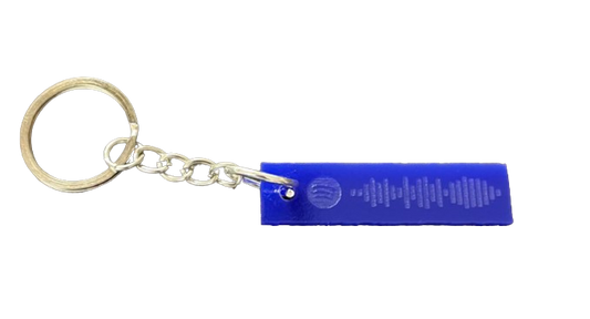 Spotify Keychain